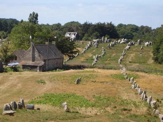 Référencement naturel SEO Morbihan