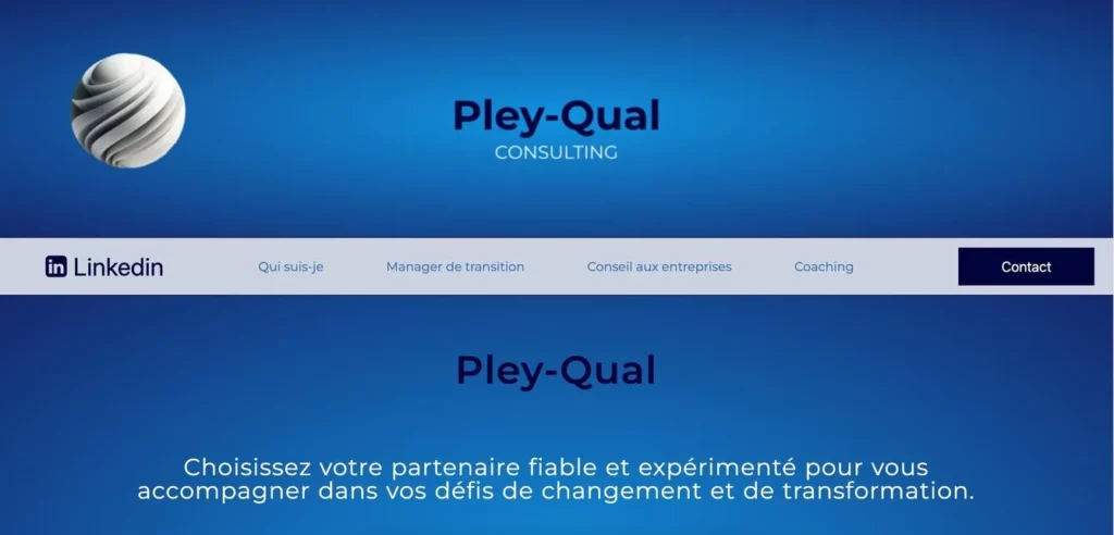 Site de notre client Pley-Qual