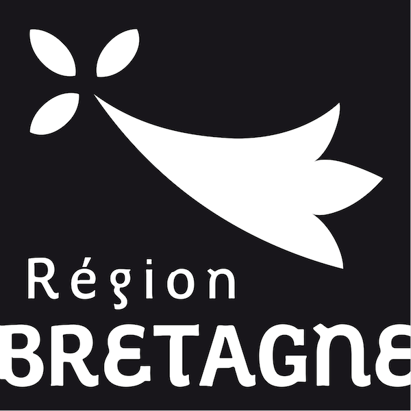 Stratégies numériques pour promouvoir la Bretagne